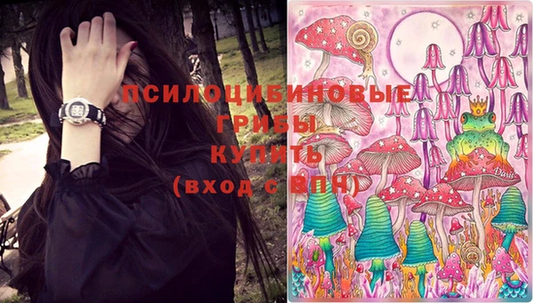 героин Алзамай
