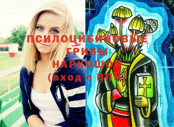 героин Алзамай