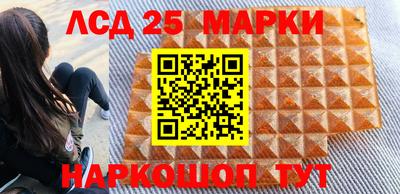 молекула духа Донской