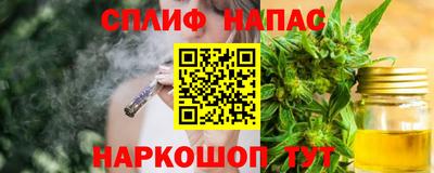 молекула духа Донской
