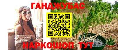 молекула духа Донской