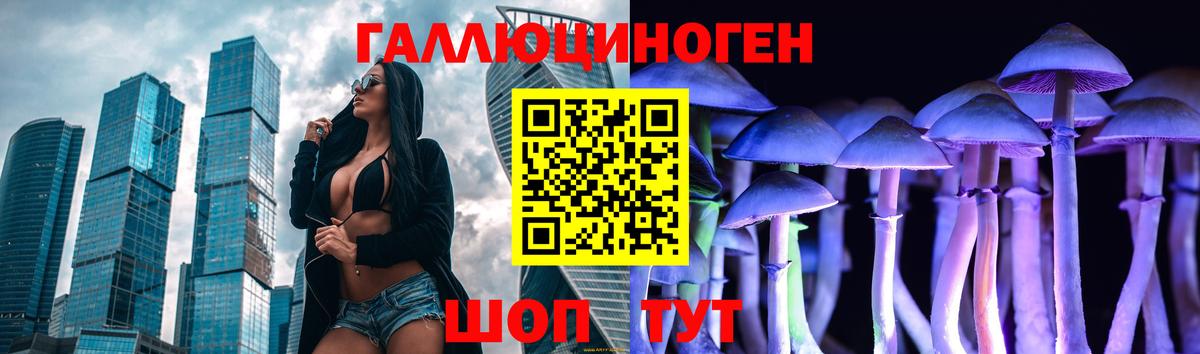 наркошоп  Вход с VPN  Галлюциногенные грибы Psilocybe  Светлоград  Галлюциногенные грибы мицелий 